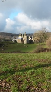 Château de Cances - Ladinhac (15)